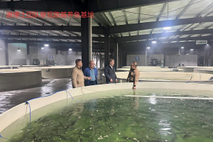 谢和博专业咨询团队进驻千岛湖食叶草鱼饲料企业 全维度赋能生物科技企业升级发展